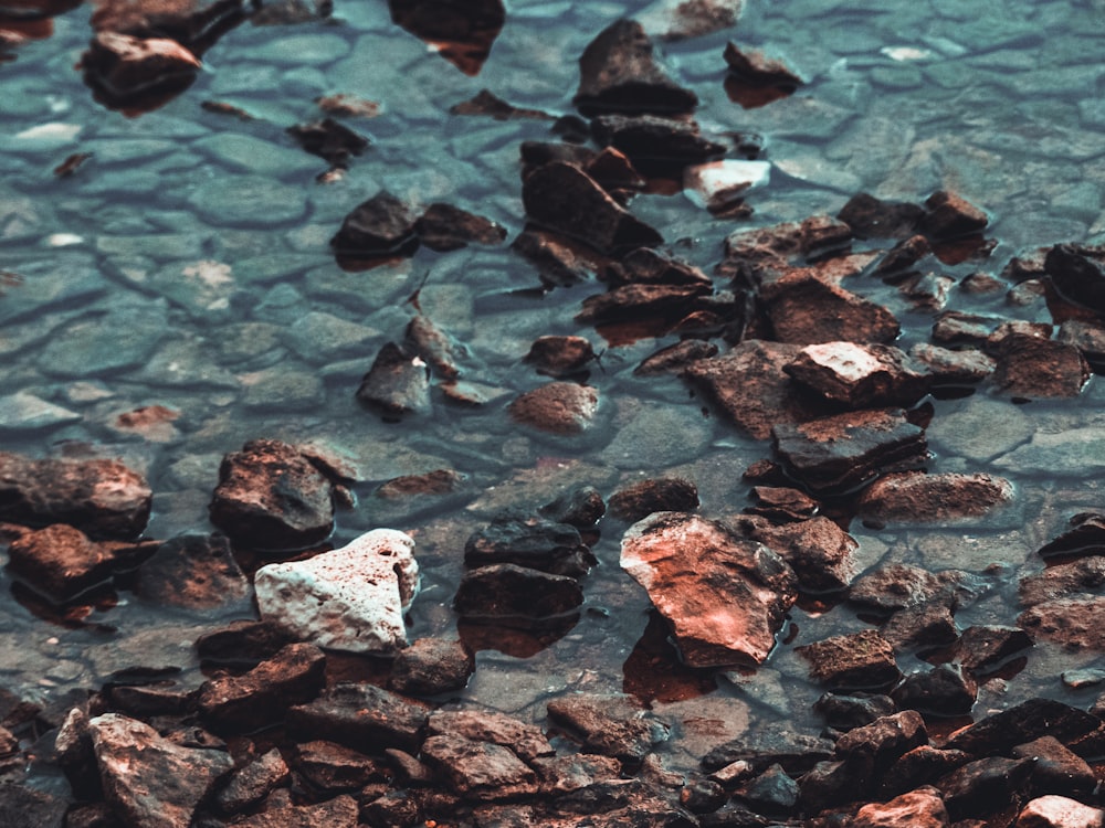 水域の茶色の岩石