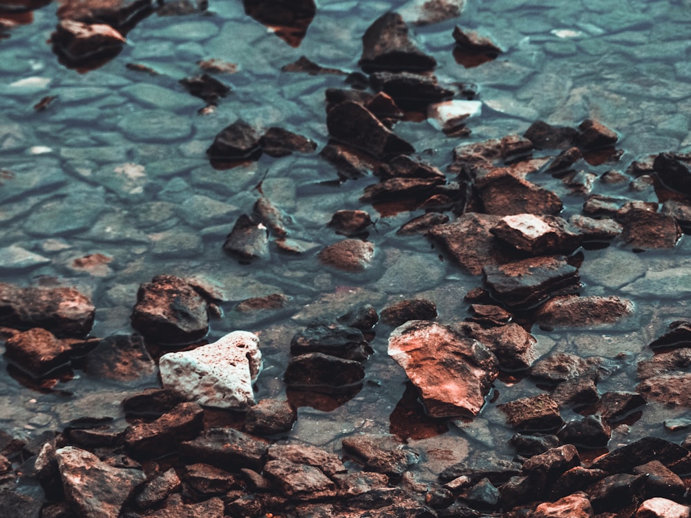 brown rock stone on body of water