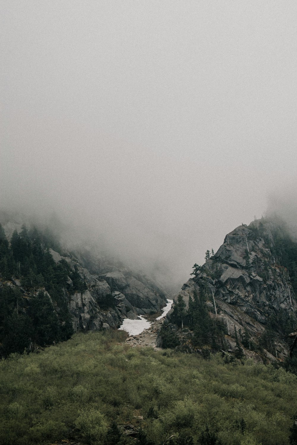 aerial photo of mountain beside trees and mist