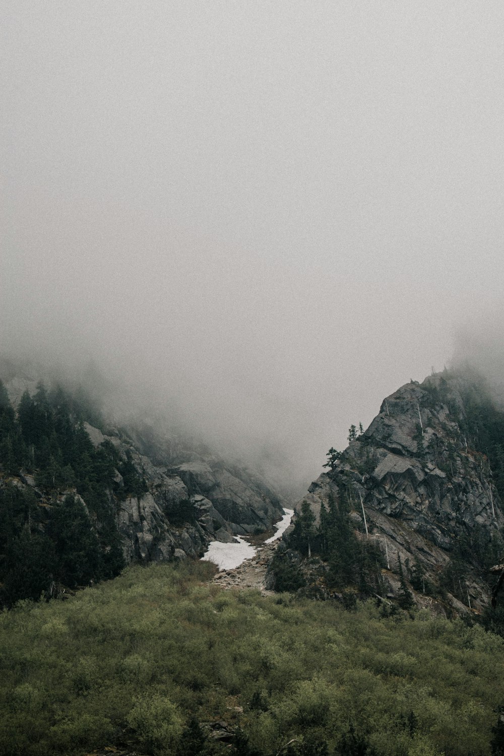 Foto aérea de la montaña junto a los árboles y la niebla