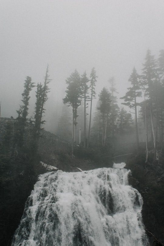 grayscale photo of waterfall near tree in Mount Rainier National Park, Narada Falls United States