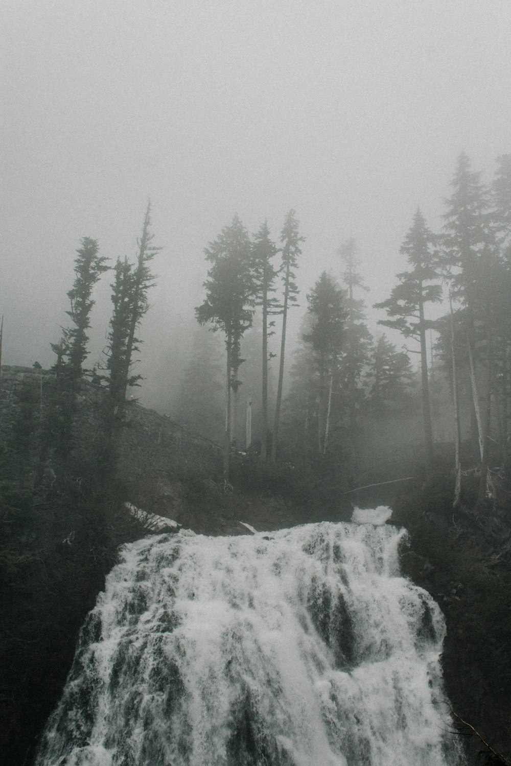 Foto en escala de grises de una cascada cerca de un árbol
