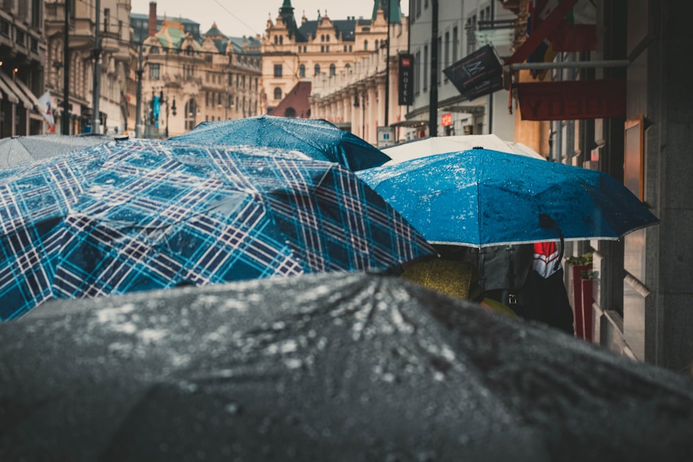 group of people using assorted-color umbrellas during daytime