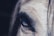 close-up photography of animal eye