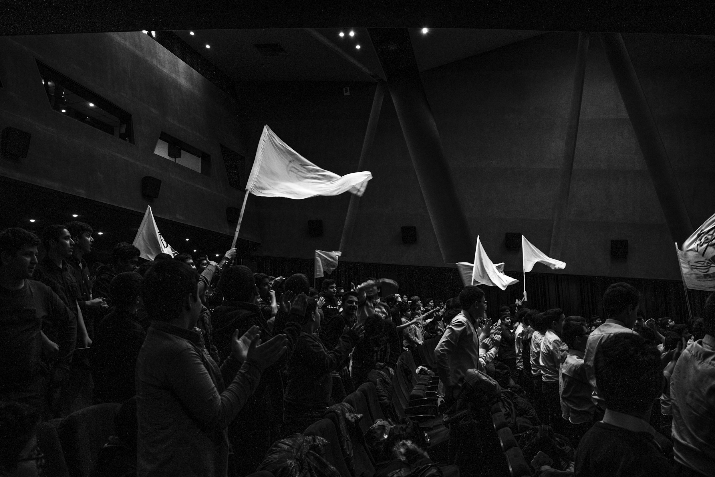 political rally crowd flags