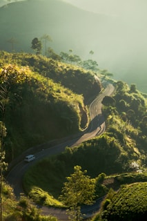 A winding road cuts through lush green hills, with sunlight casting a golden glow on the landscape. A white vehicle and another small object, possibly a bicycle or motorcycle, are traveling along the road. Various types of vegetation, including small trees and shrubs, are scattered across the hills.