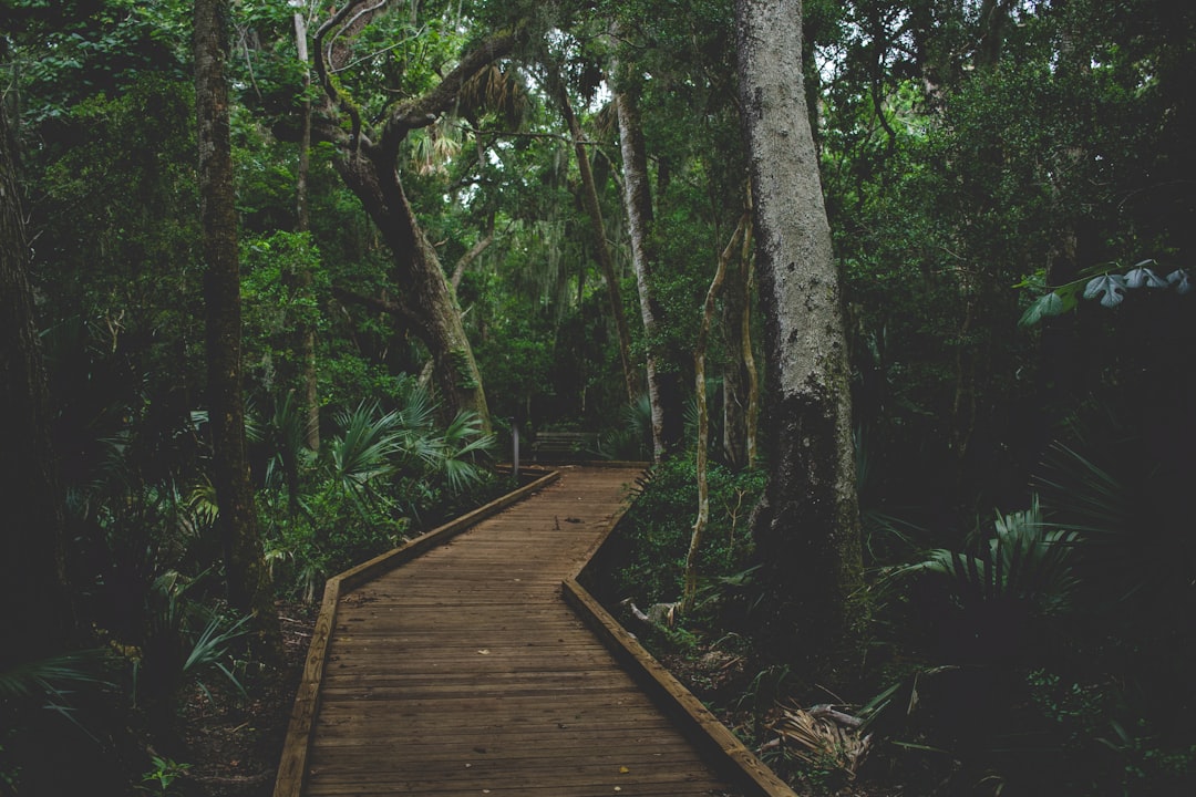 travelers stories about Forest in Canaveral National Seashore, United States