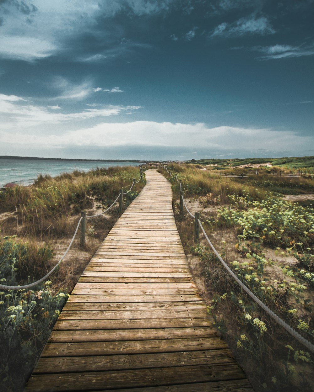 wooden pathway through seashore