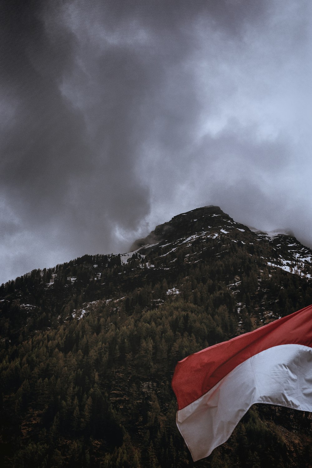 mountain alps with trees and clouds