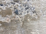 A close-up view of a textured concrete wall with visible cracks and a mix of small stones embedded within it. The surface shows weathering with different shades of gray and beige.