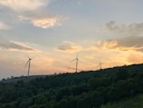 Wind turbines spinning on a green hillside during sunset.
