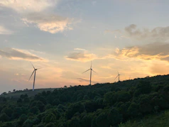 Wind turbines spinning gracefully on a green hillside at sunset