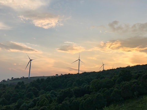 Wind turbines spinning on a green hillside during sunset.