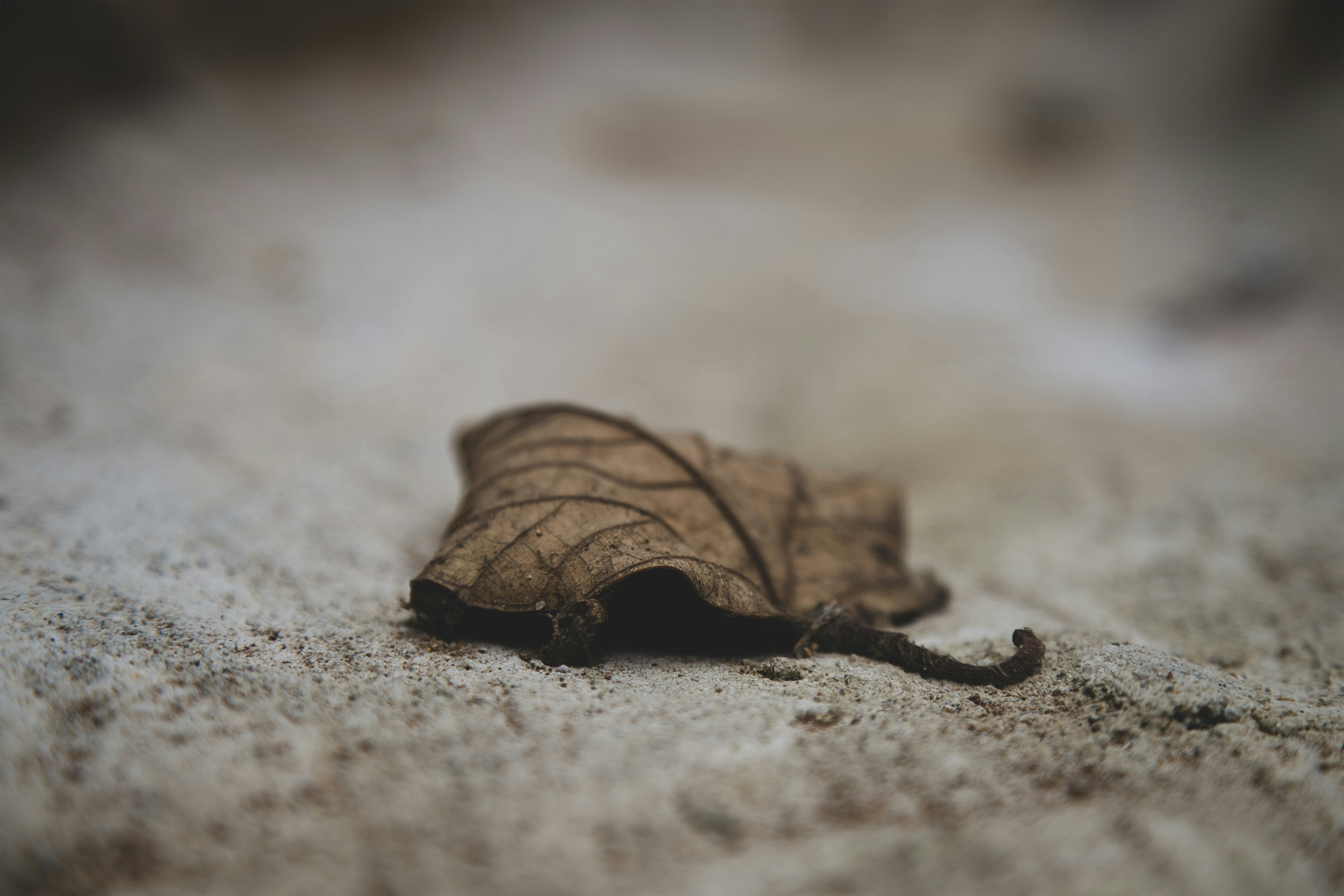 Photo by anethcharles