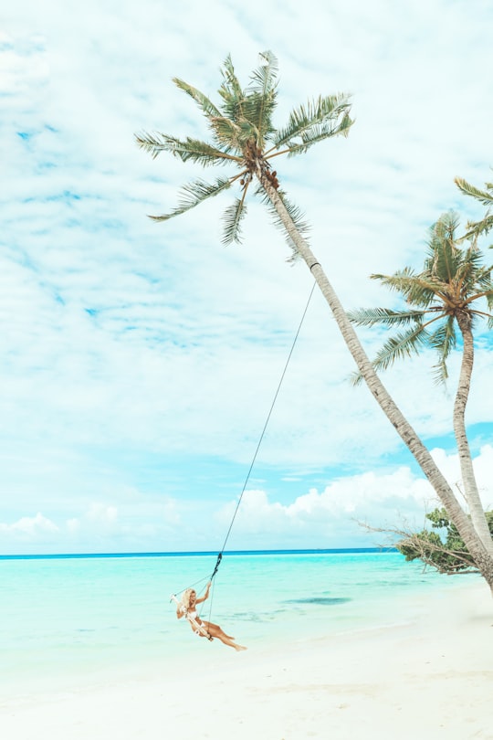 woman swing under coconut tree in Maafushi Maldives