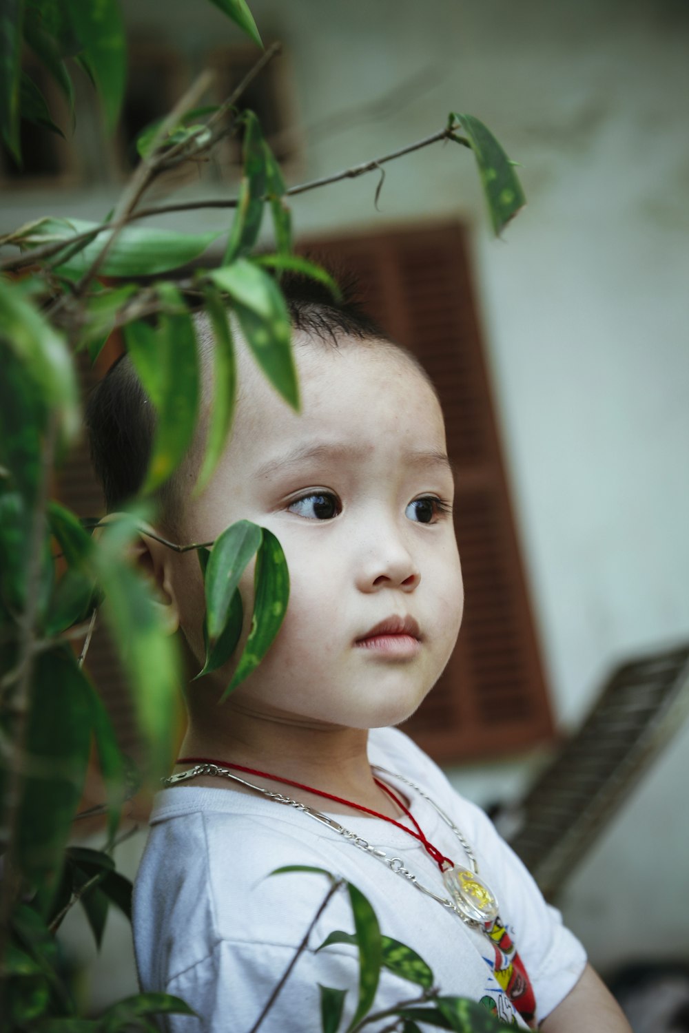 selective photography of boy standing beside green leaf plant