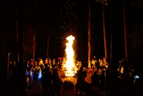 Guests gathered around a warm bonfire in the forest, sharing stories and laughter