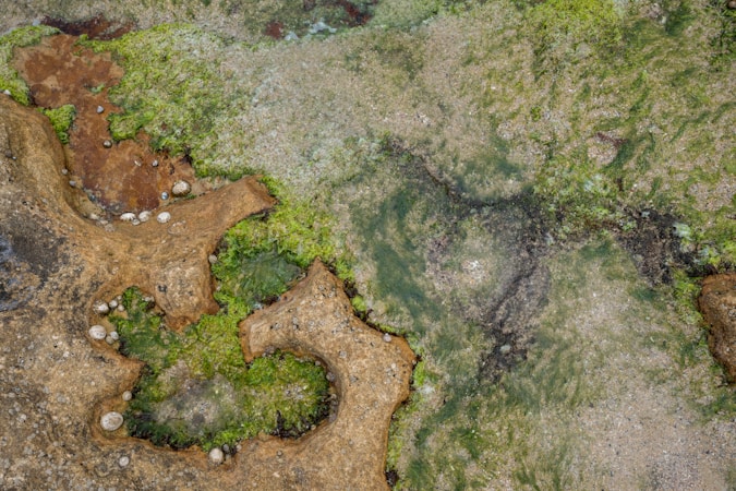 Membangun Website untuk Organisasi Geologi