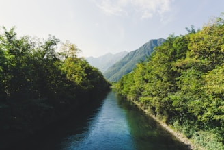 A serene river flowing through a lush green landscape, surrounded by trees and mountains under a clear blue sky.