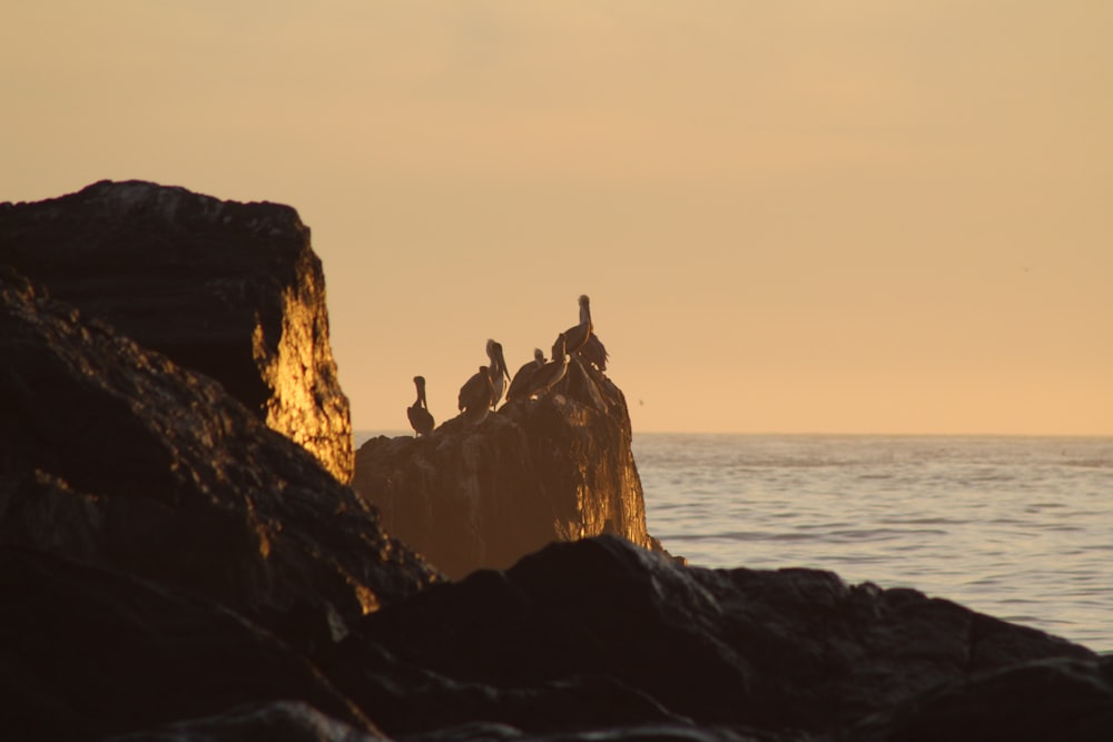 rock formation surrounded of body of water