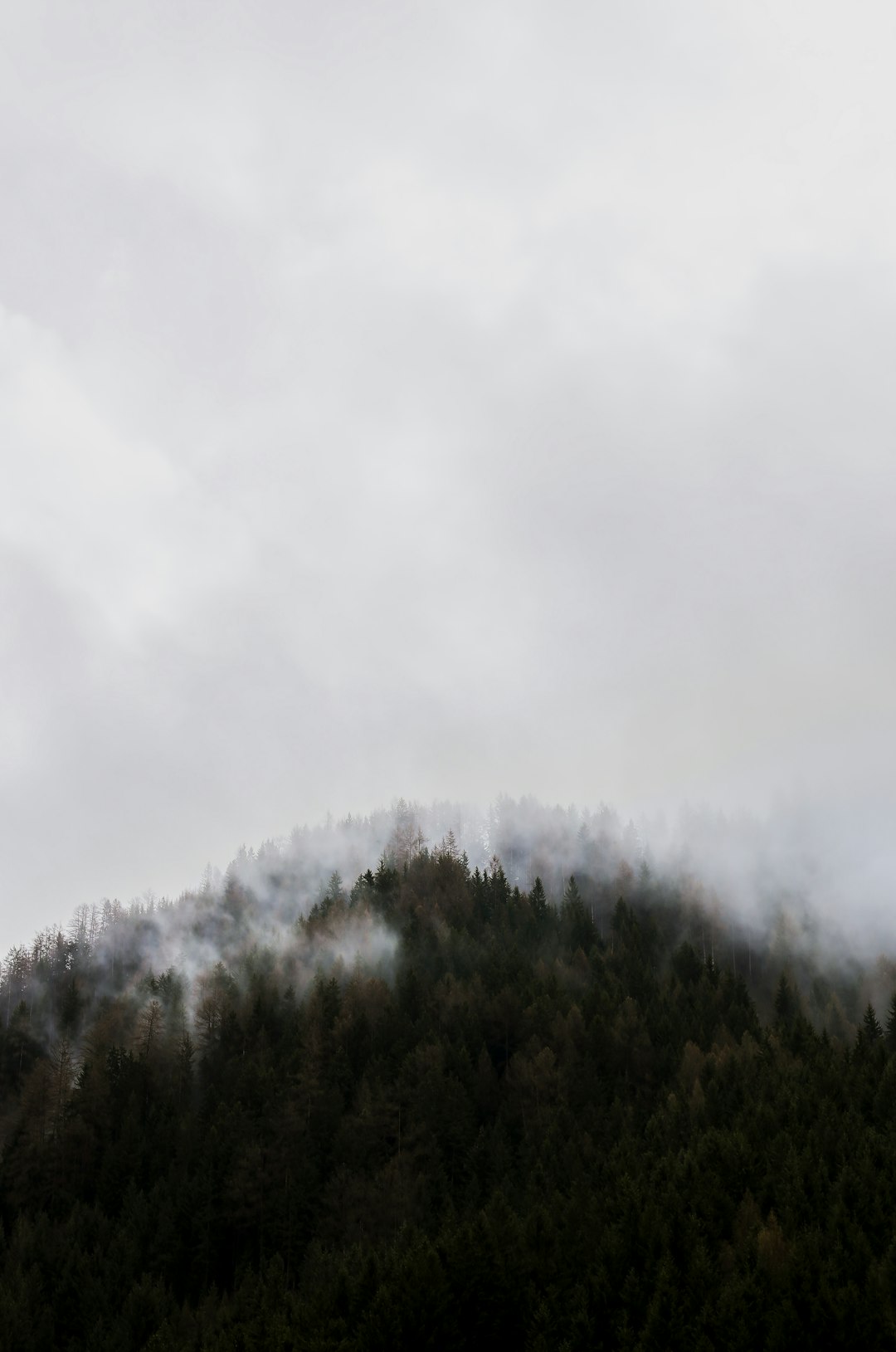 fog covering green mountain