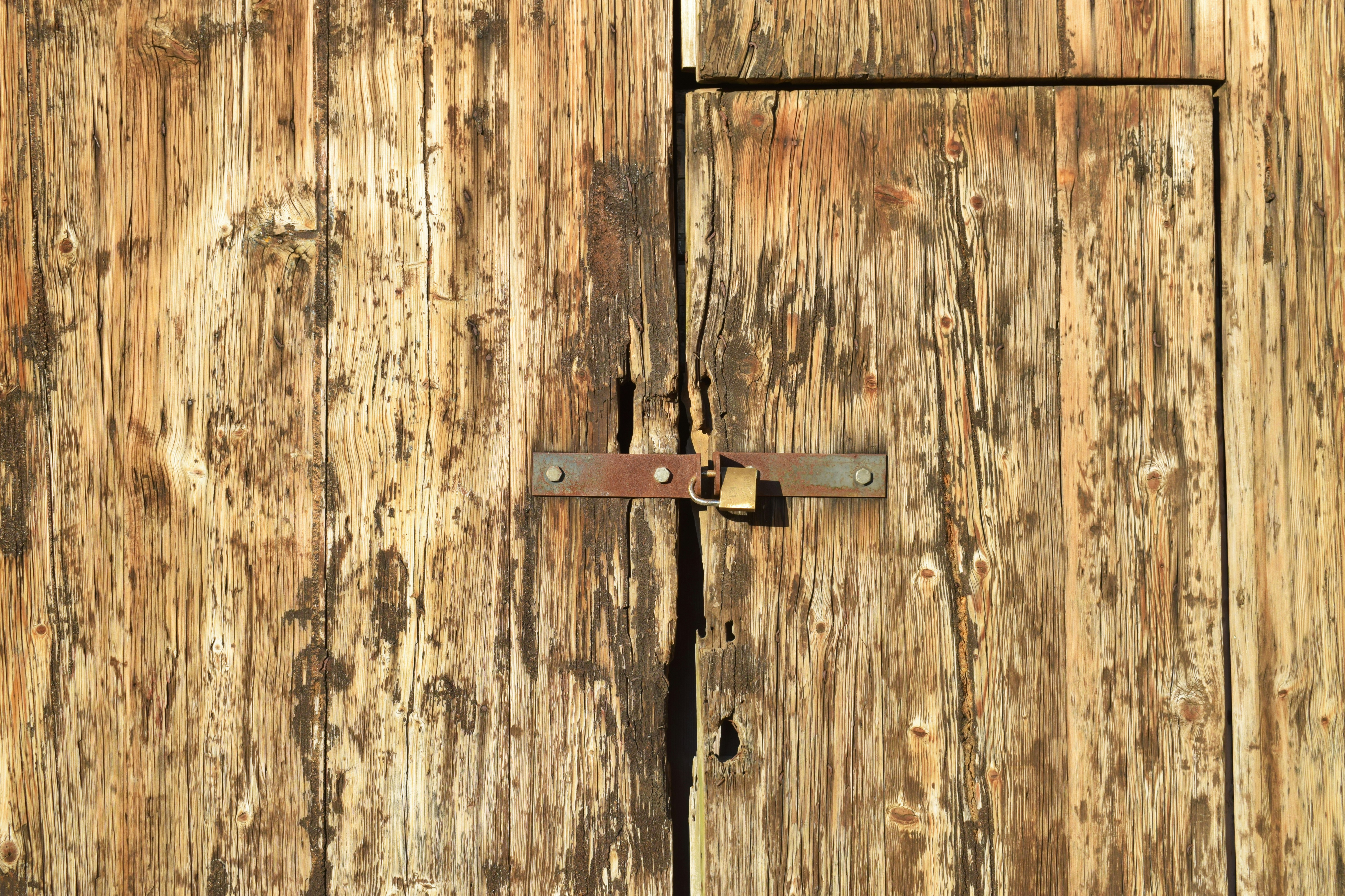 Anomaly Detection in Business Operations: Pattern Recognition That Pays