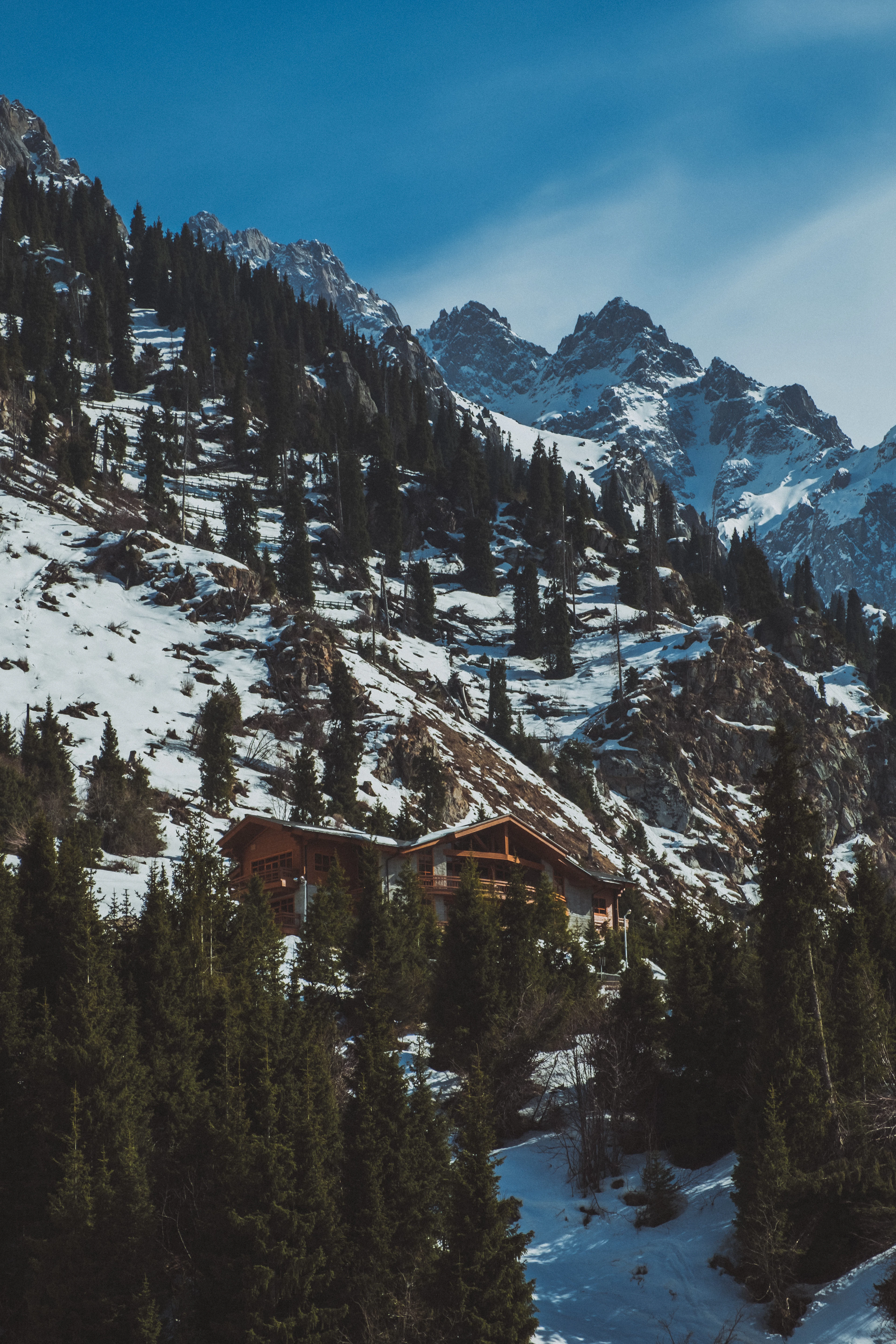 A timber chalet perched among firs on a deep-snow slope at Shymbulak above Almaty, with the jagged, snow-loaded peaks of the Trans-Ili Alatau rising behind it under a hard blue winter sky.