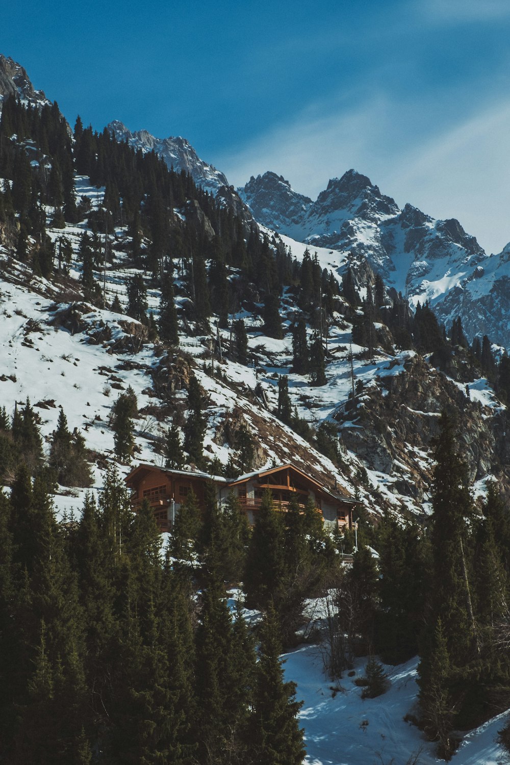 cabin near trees and glacier mountains during day