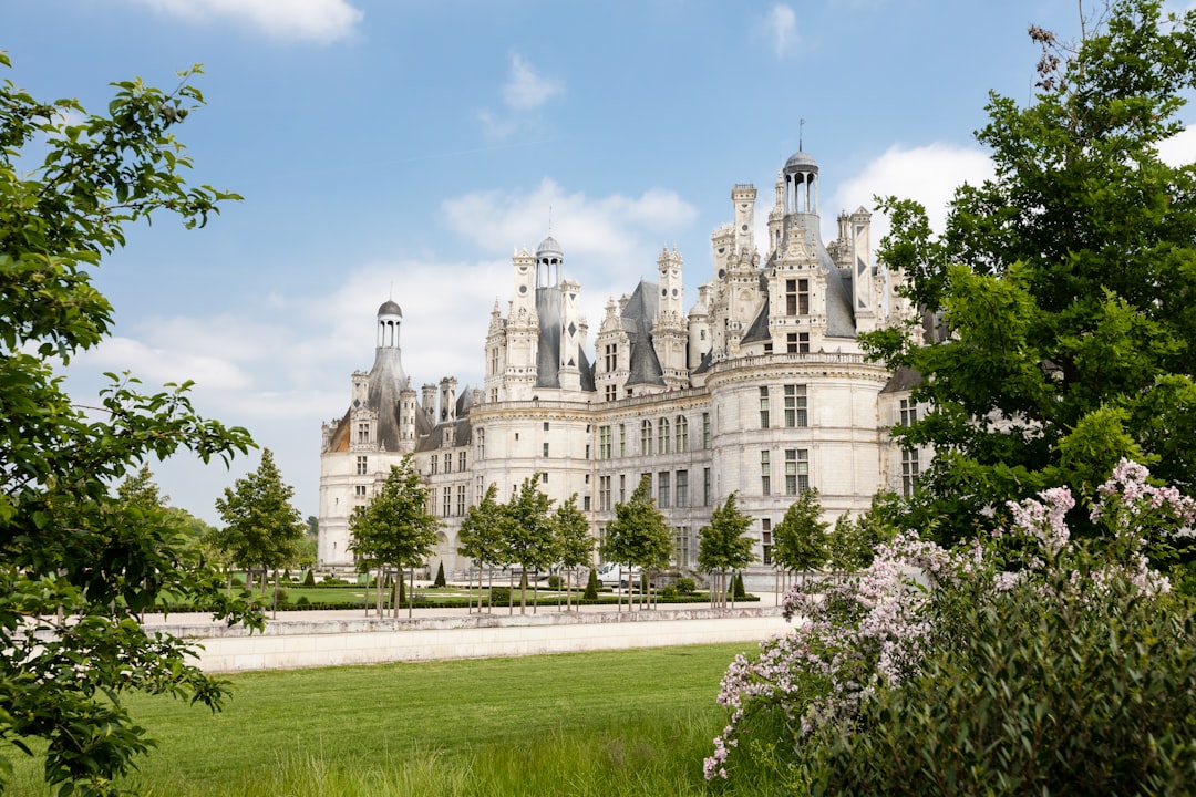 white building near trees, Chambord look so proud