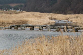 A serene landscape symbolizing life's journey.