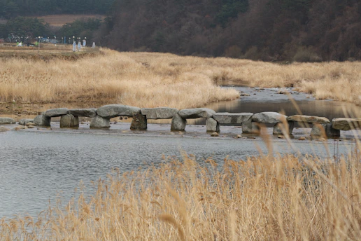 A serene landscape symbolizing life's journey.