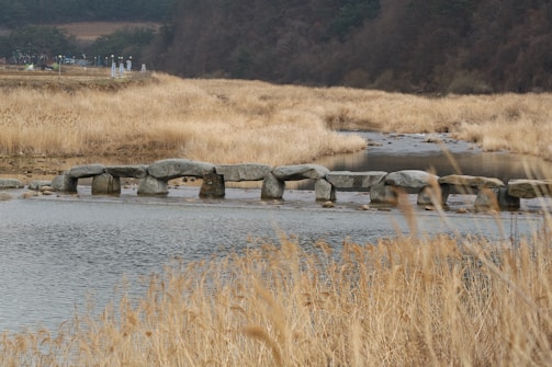 A serene landscape symbolizing spiritual journeys.