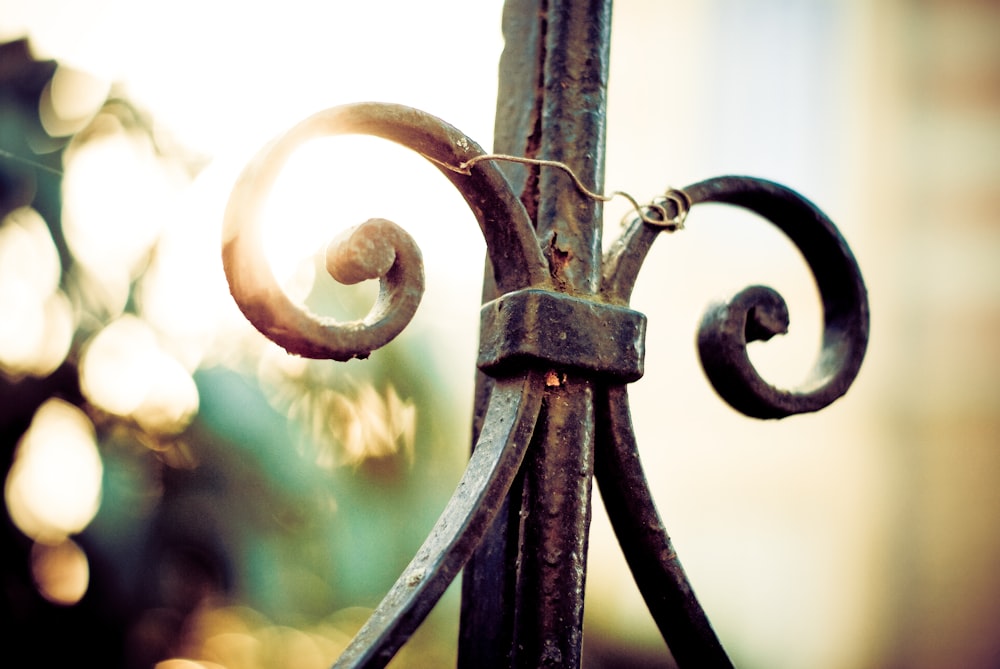 shallow focus photo of black fence