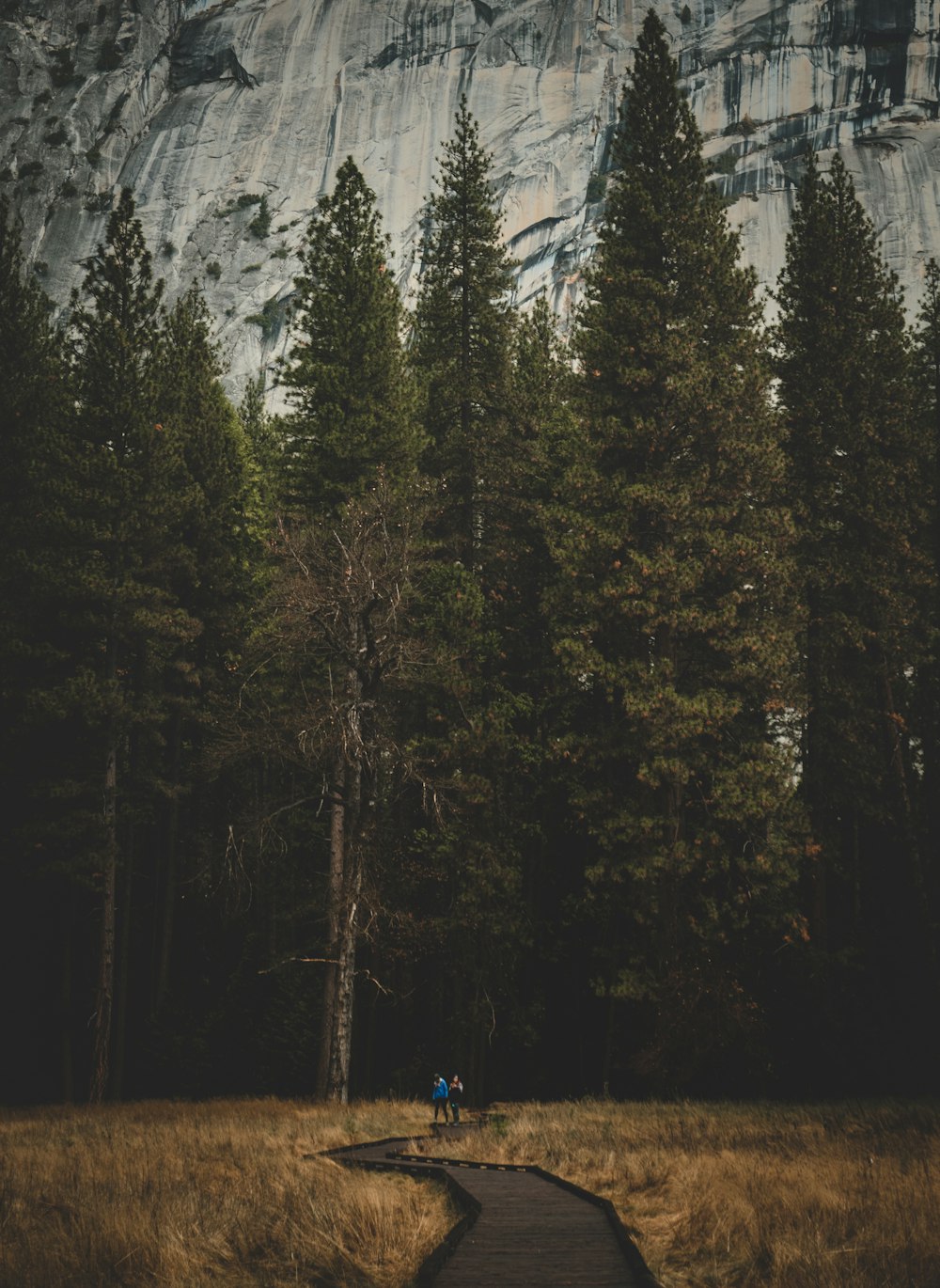 people walking at the road