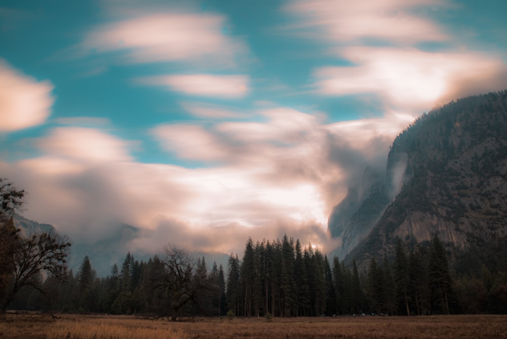 green pine trees near mountain under white clouds at daytime