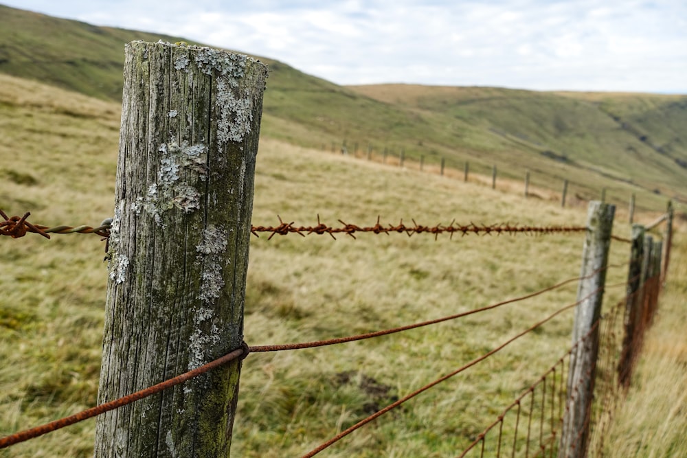 tilt shift lens photography of brown barbwire