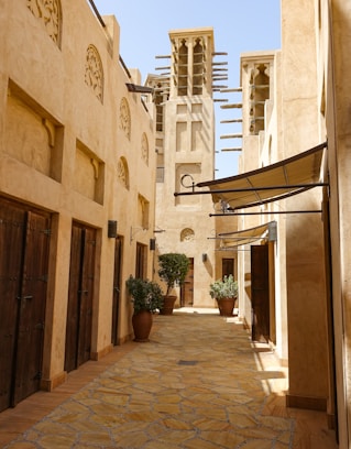 green leafed plants on brown vases