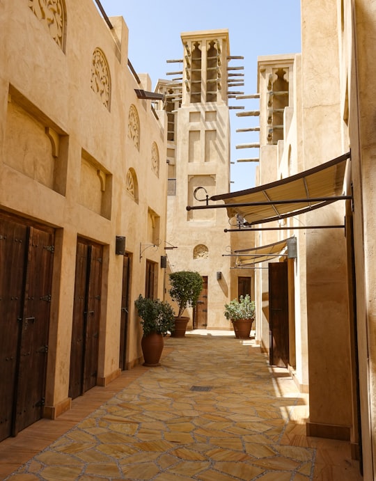 green leafed plants on brown vases in Madinat Jumeirah United Arab Emirates