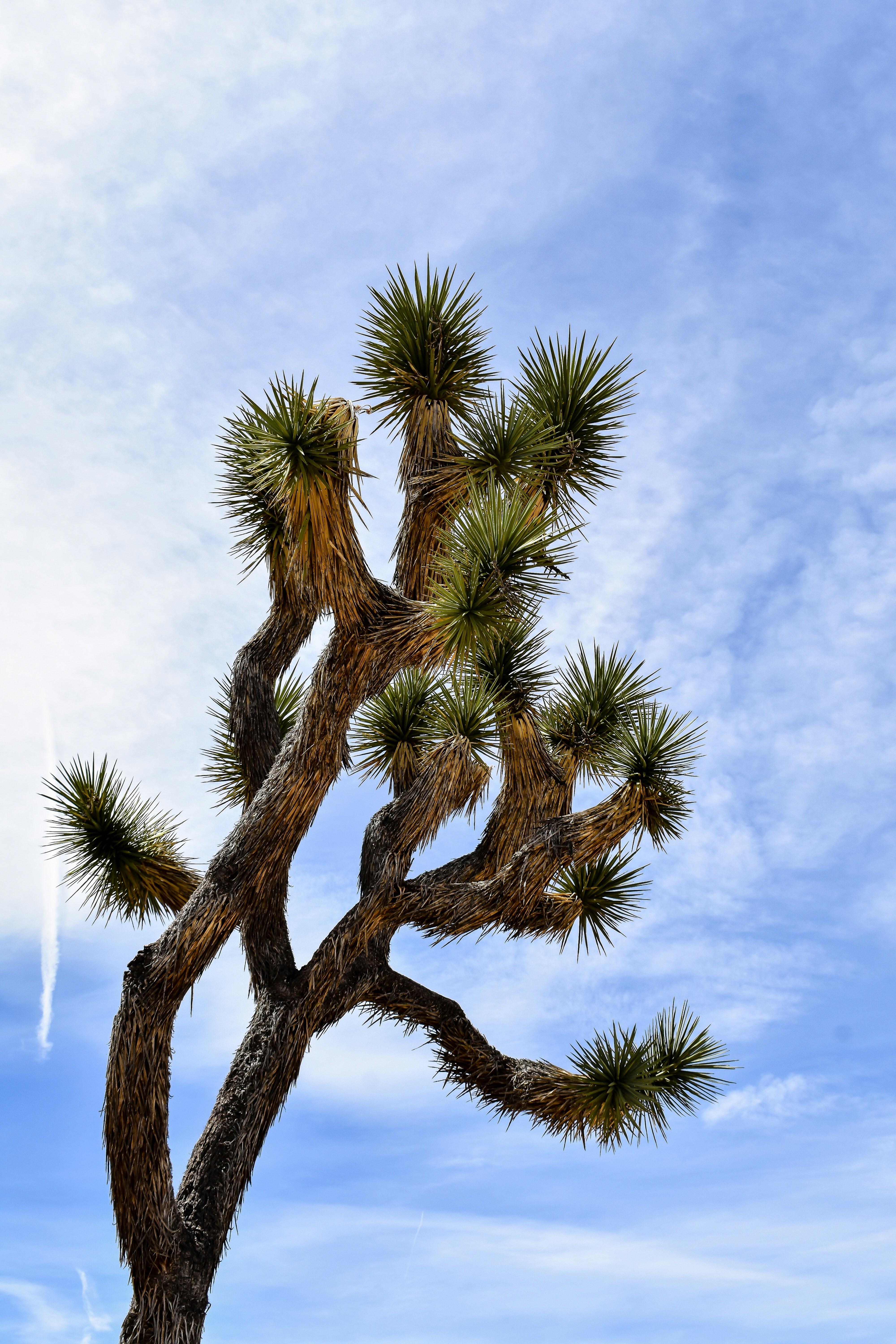 Photo by kearameehan