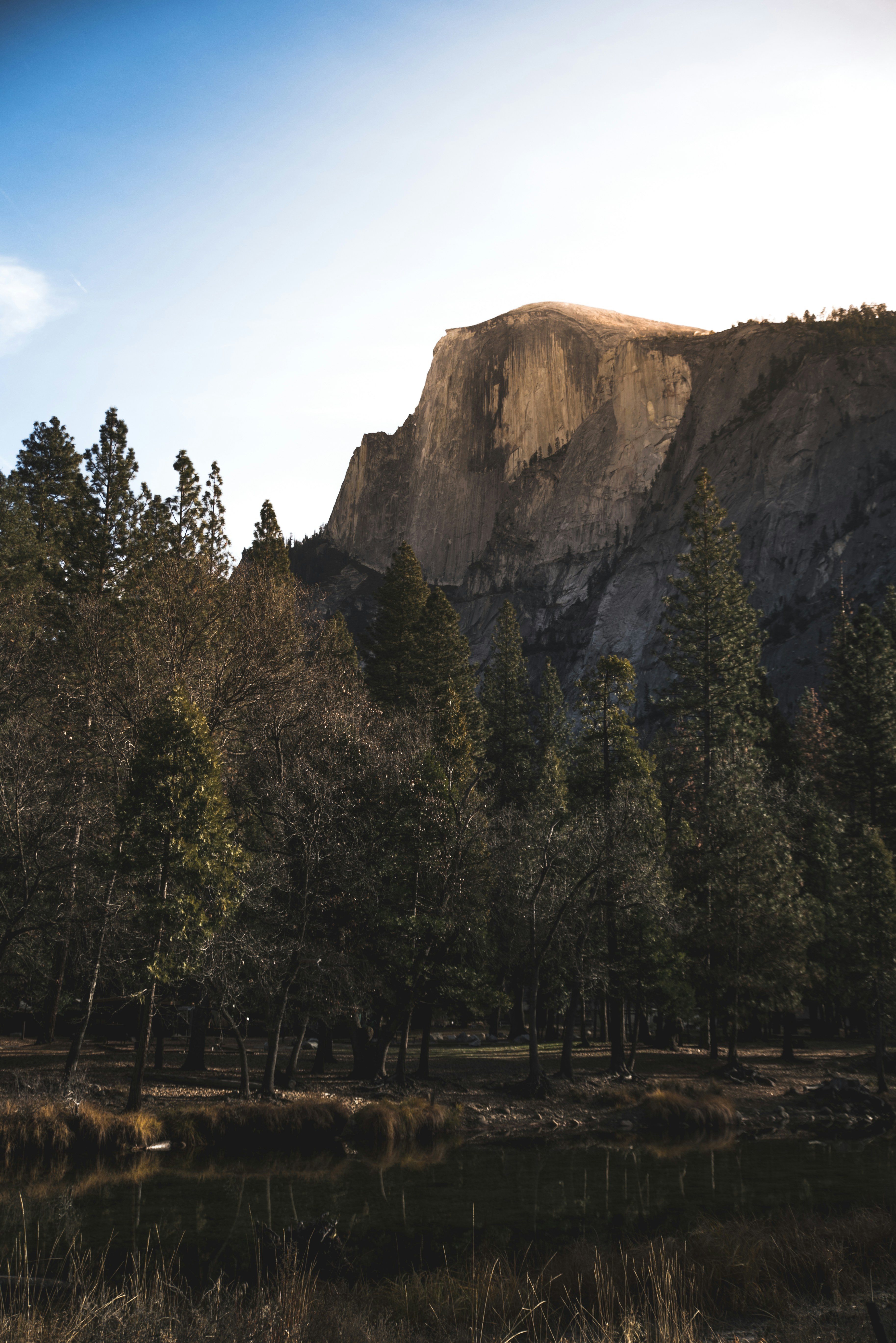 Photo by mischievous_penguins