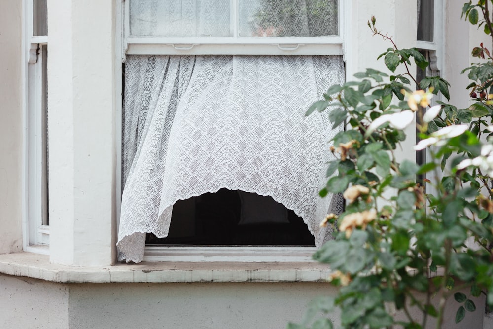 white sash window opened