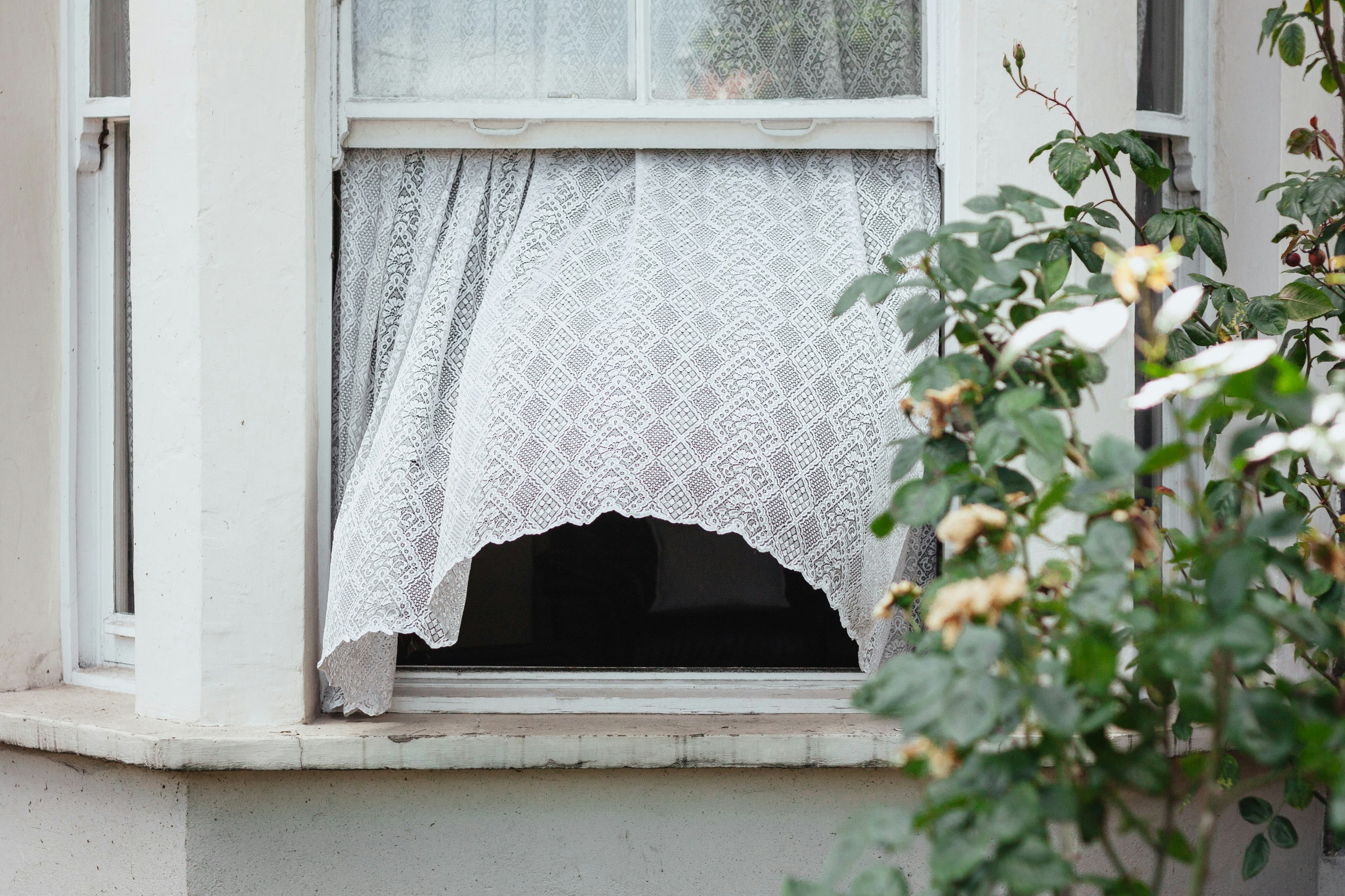Lace curtain blowing in the wind on a Summer’s day in London. What’s inside?