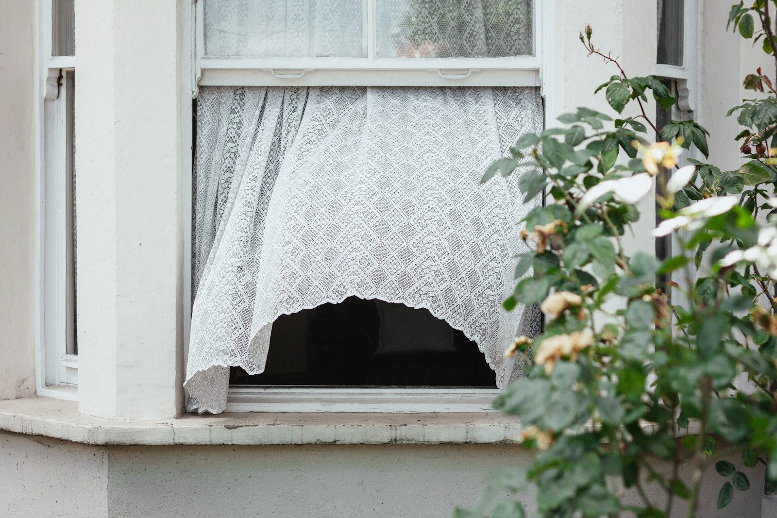 Canon EOS 450D (EOS Rebel XSi / EOS Kiss X2) + Canon EF 50mm F1.8 II sample photo. White sash window opened photography