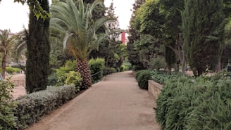 A serene tropical garden with lush greenery and a pathway.