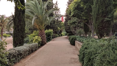 A serene tropical garden with lush greenery and a pathway.