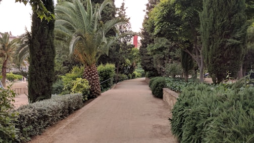 A serene landscape showcasing a peaceful walking trail surrounded by lush greenery.