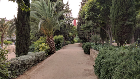A serene nature trail winding through lush greenery at the recovery center, inviting calm and reflection.