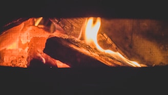 A warm fire burning with quality firewood.