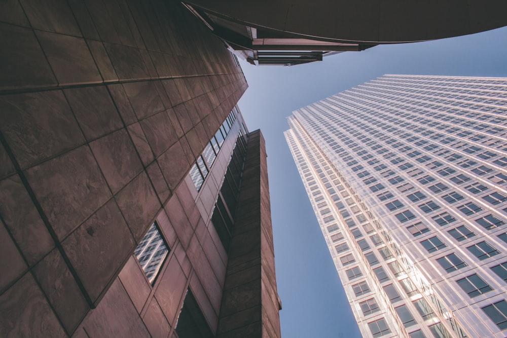 worm's eye view photo of building