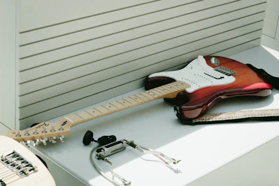 Padded Guitar Gig Bag 10mm